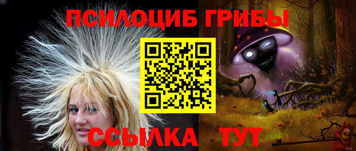 Галлюциногенные грибы мухоморы  Вход с VPN  Черногорск 